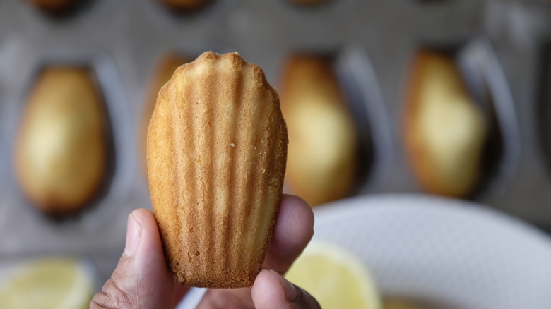 Person holding madeleine cookie