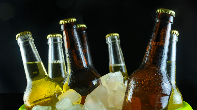 Bottles of beer in ice bucket
