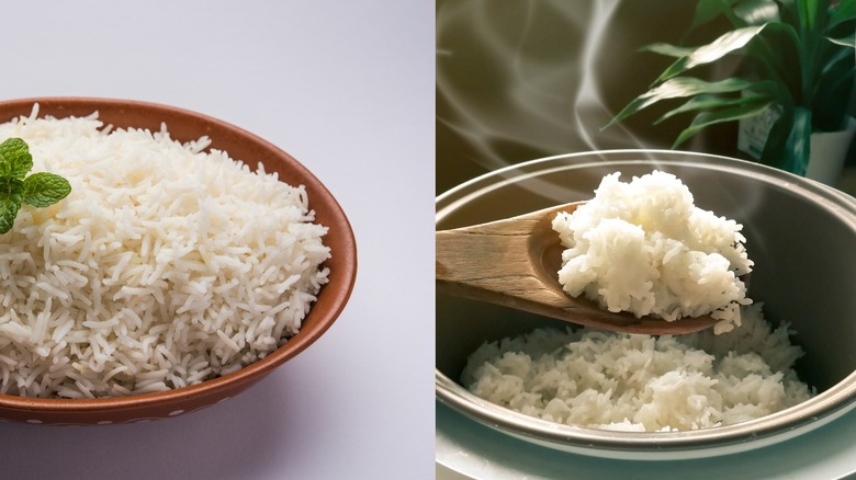 Cooked basmati and jasmine rice